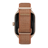 Amazfit GTS 4 autumn brown (nylon) 